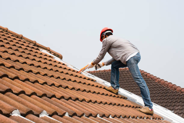 Reliable Casey, IL  Roofing repair and installation Solutions